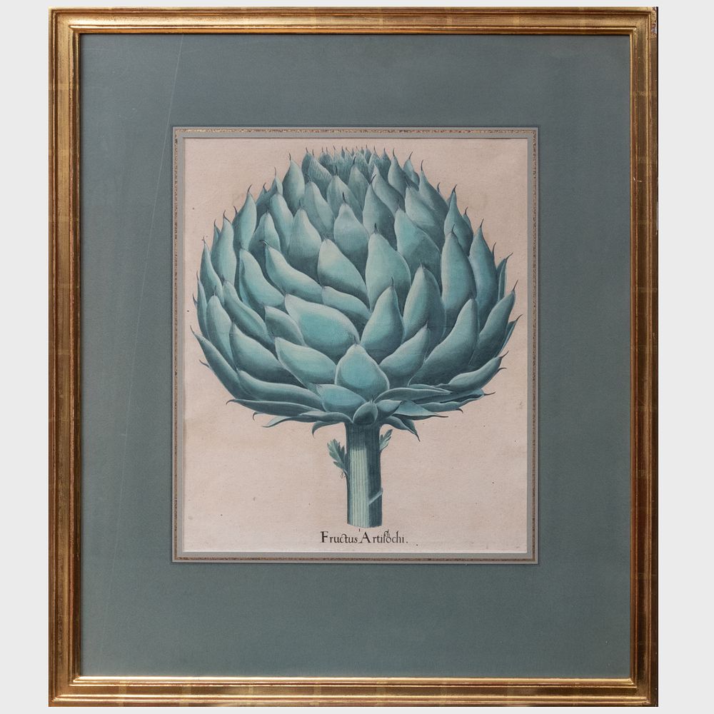 Appraisal: After Basilius Besler - Fructus Artichochi Engraving in black with