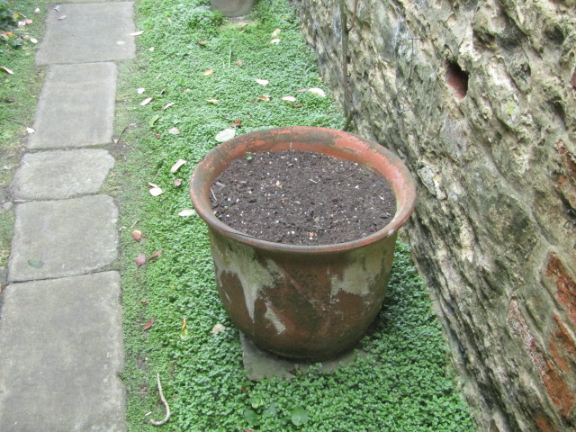 Appraisal: A harlequin group of nine terracotta circular planters another plastic