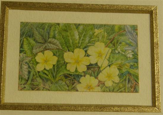 Appraisal: A Mortimer miniature Primroses watercolour signed h w in