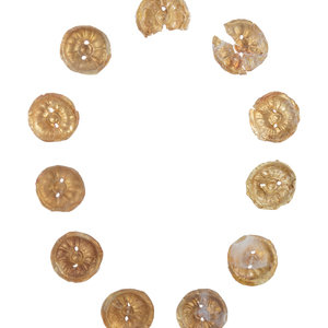 Appraisal: Eleven Gilt Metal or Gold Buttons on an Acrylic Stand