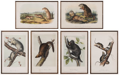 Appraisal: After John James Audubon New York - Six Octavo Edition