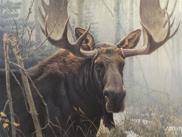 Appraisal: ROBERT BATEMAN AMERICAN B x Moose Color lithograph on paper