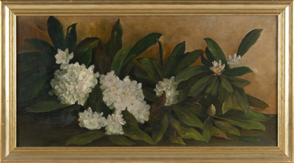 Appraisal: AMERICAN SCHOOL TH CENTURY STILL LIFE OF WHITE FLOWERS OIL