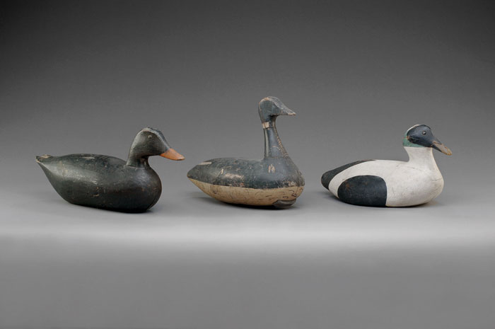 Appraisal: THREE CARVED AND PAINTED DECOYS AN EIDER DRAKE A BLACK