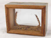 Appraisal: A pair of scorpions in glass case x x cm