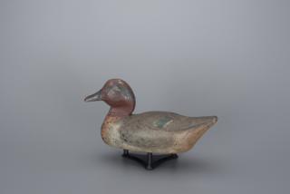 Appraisal: Green-Winged Teal Drake California in long A slightly turned-head West