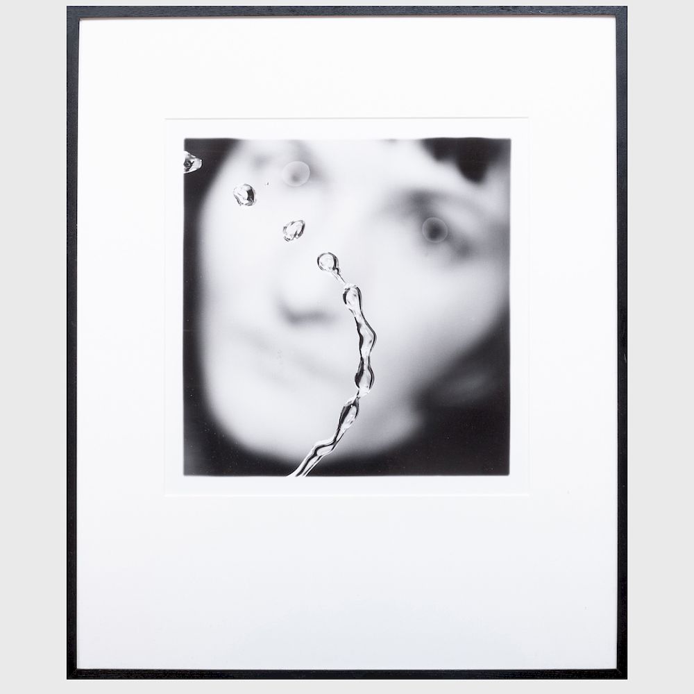 Appraisal: Susan Derges b Observer and Observed Gelatin silver print signed