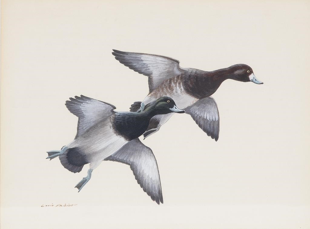 Appraisal: Bluebill Pair signed Louis Frisino lower left watercolor by in