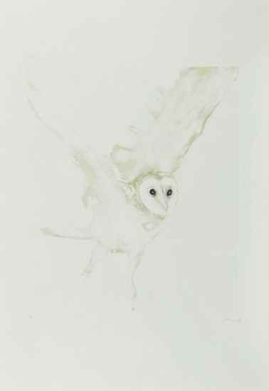 Appraisal: Elisabeth Frink - Young Barn Owl W etching with aquatint