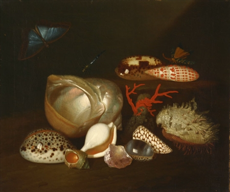 Appraisal: Manner of Balthasar van der Ast Dutch th- th Century