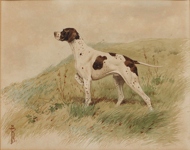 Appraisal: B RIAB - 'Short haired pointer' watercolour signed lower left