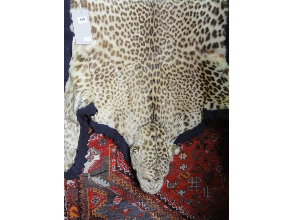 Appraisal: A Leopard skin rug complete with head