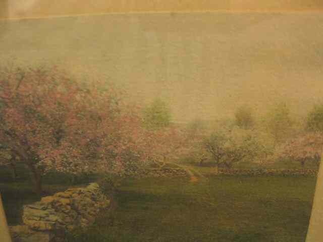 Appraisal: Wallace Nutting Print ''Apple Orchard'' image area '' x ''