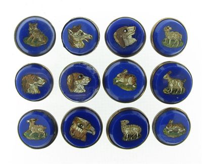 Appraisal: A set of twelve micro mosaic buttons Depicting various animals