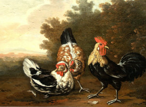 Appraisal: Flemish School th century- Study of a cock and two