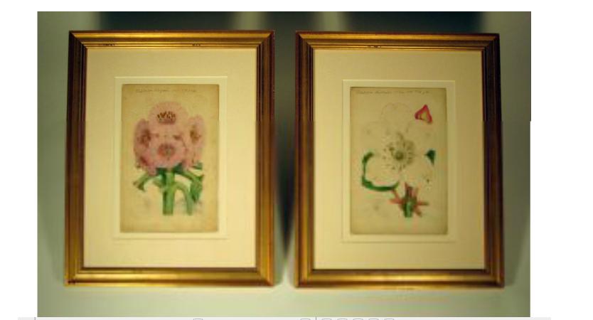 Appraisal: Two French watercolors of rhododendronparis