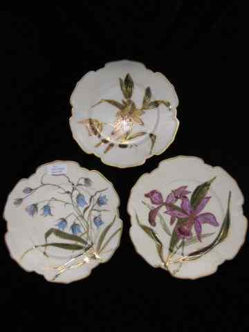 Appraisal: Handpainted Porcelain Plates florals ''