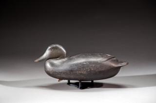 Appraisal: Black Duck by Joseph S King Black DuckJoseph S King