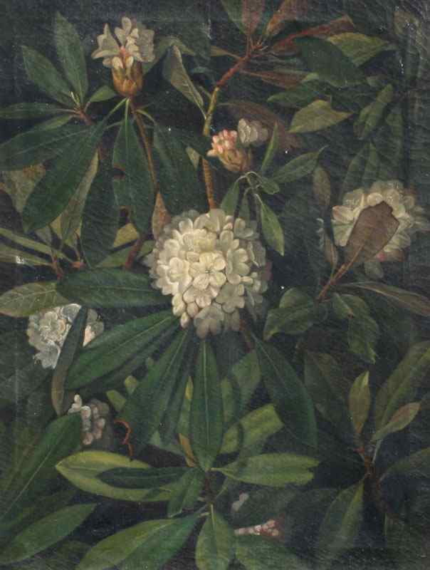 Appraisal: TH CENTURY OIL ON CANVAS STUDY OF RHODODENDRON BLOSSOMS ''