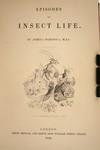 Appraisal: VOLS EARLY NATURE TITLE FINE BINDINGS - 'Episodes of Insect