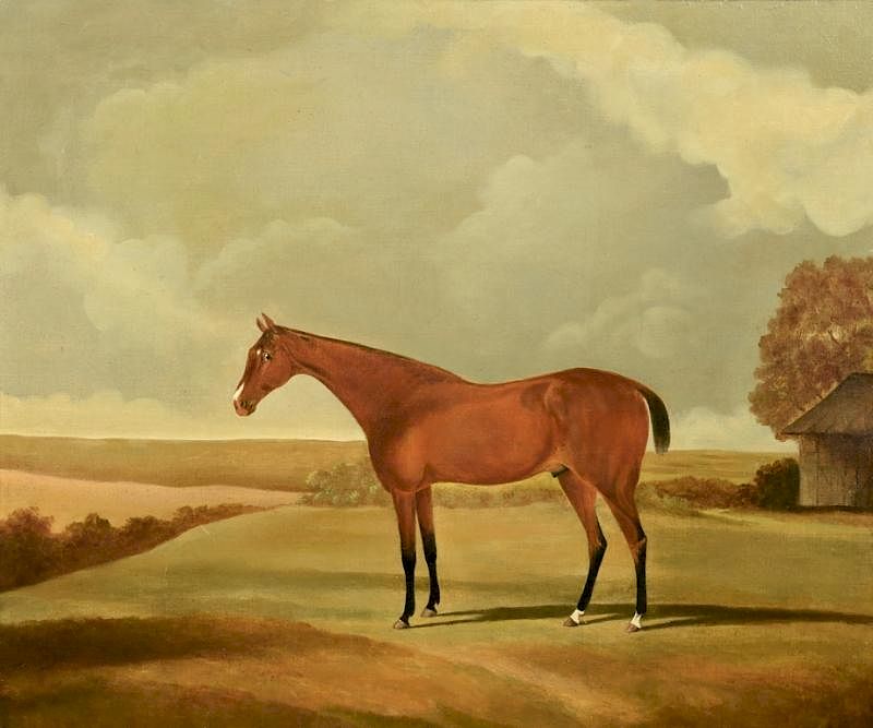 Appraisal: Attr Harry Hall large portrait of horse English School large