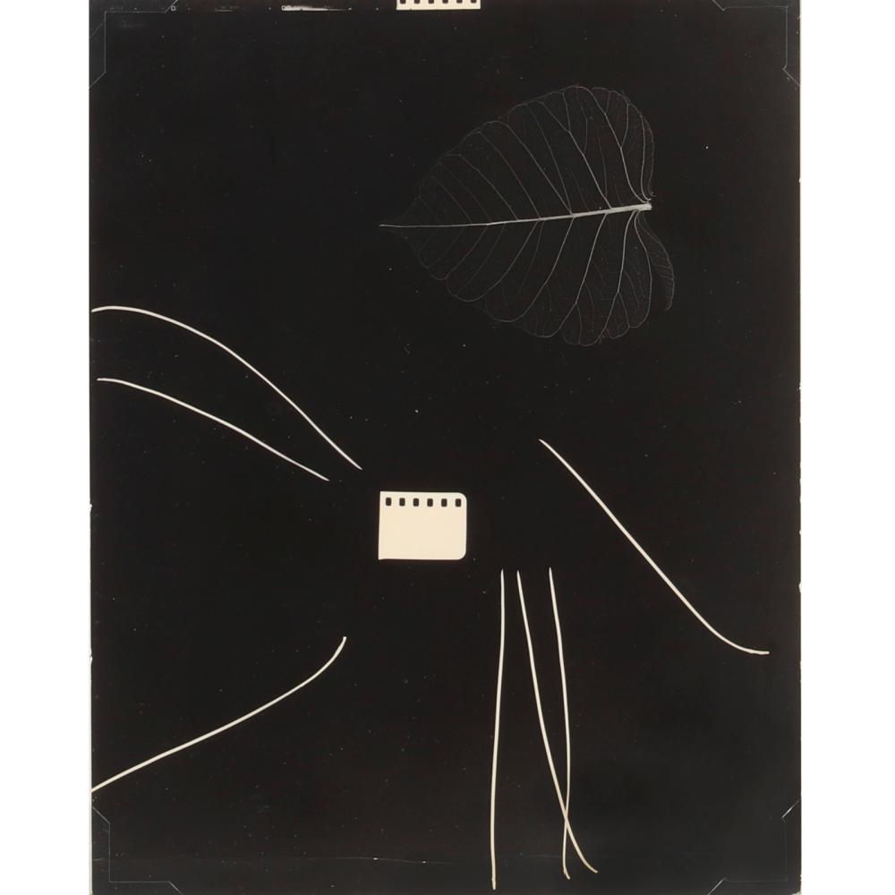 Appraisal: GYORGY KEPES AMERICAN - BIO COMPO PHOTOGRAM SILVER GELATIN PHOTOGRAM