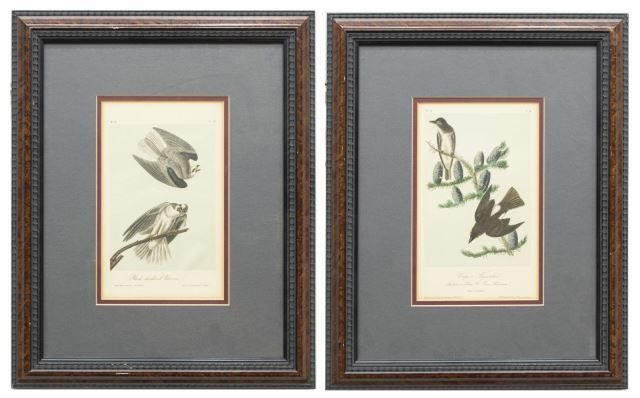 Appraisal: lot of Framed hand-colored ornithology lithographs on paper from The