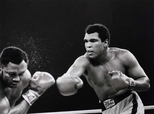 Appraisal: BOXING Select group of photographs of boxers including muhammad ali