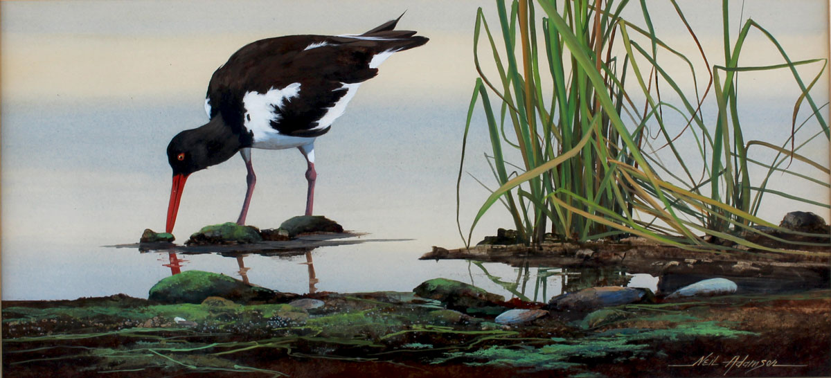 Appraisal: ADAMSON Neil American th Century ''Wading Bird'' Acrylic Board site