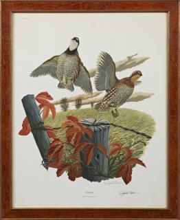 Appraisal: Richard Sloan - Bobwhite Plate No colored print pen signed