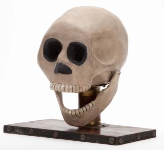 Appraisal: Talking Skull Columbus Grant Reilly ca Papier-mache skull mounted to