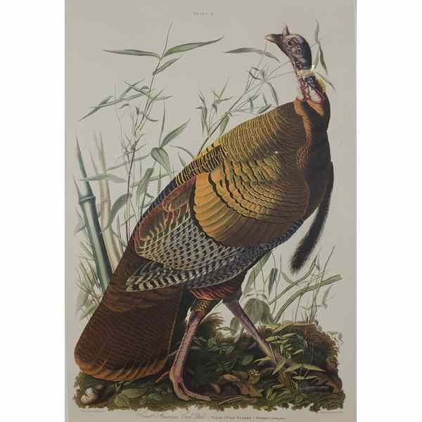 Appraisal: Audubon Print After the Lizars Engraving Audubon's first printer a