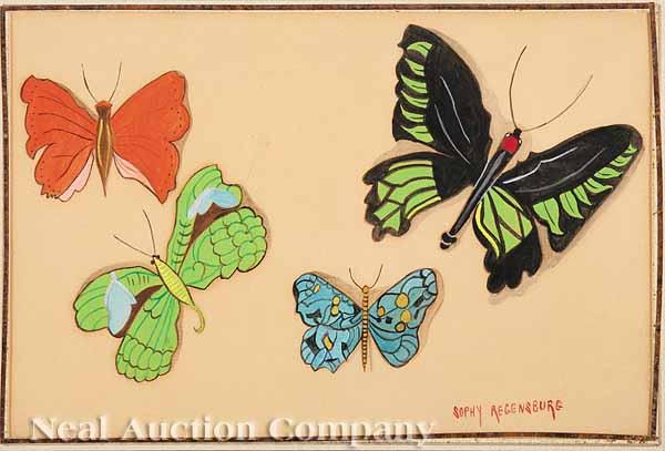 Appraisal: Sophy Pollak Regensburg New York - Butterflies pen and ink