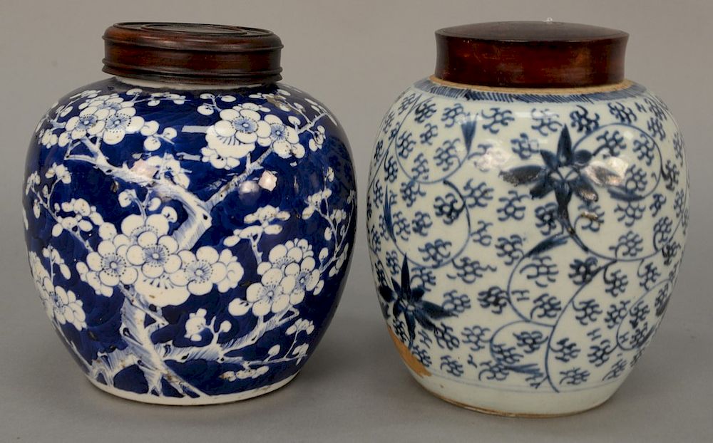 Appraisal: Two blue and white Chinese ginger jars one apple blossom