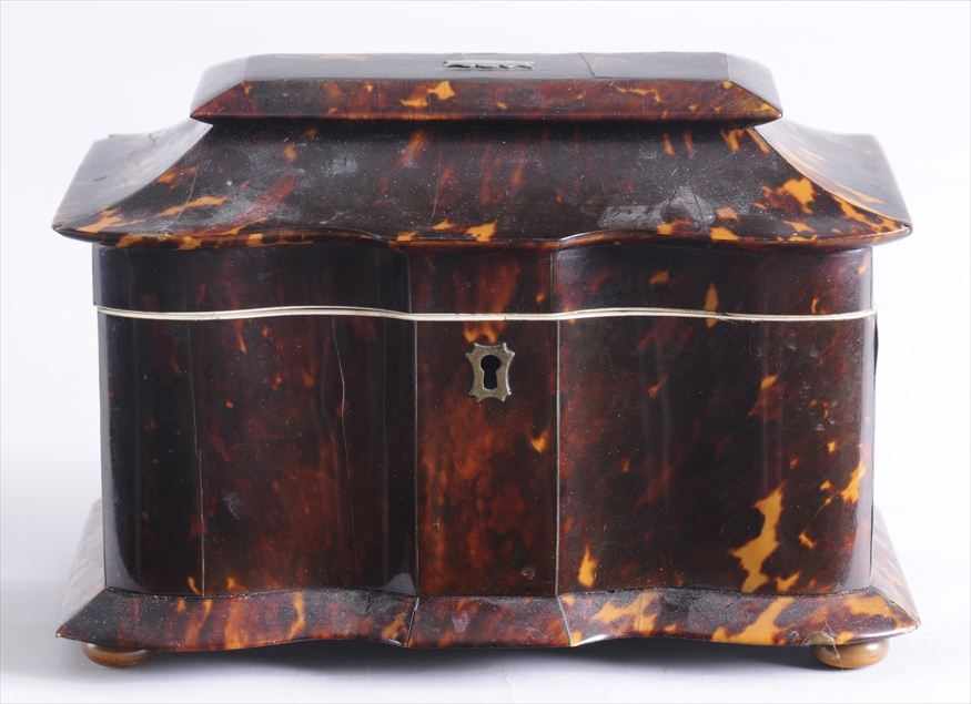 Appraisal: REGENCY IVORY-MOUNTED TORTOISESHELL SCALLOP-FRONTED TEA CADDY The hinged cover opening