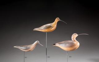 Appraisal: Curlew by David B Ward b Curlew David B Ward