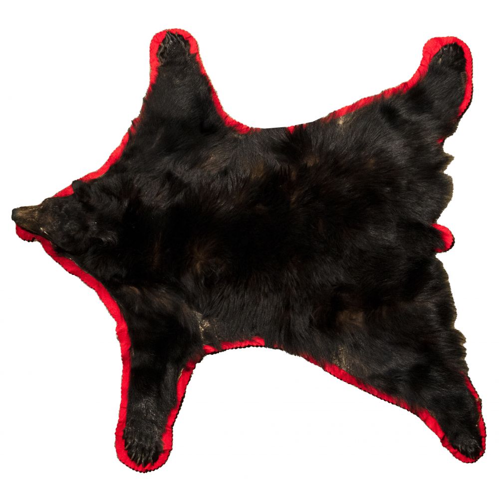 Appraisal: BLACK BEAR RUGBear skin having red felt scallop-edge and canvas