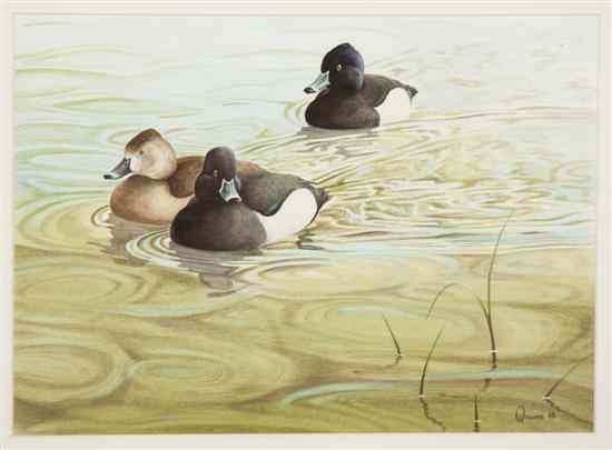 Appraisal: Owen Williams Ring Necked Duck watercolor signed O Williams and