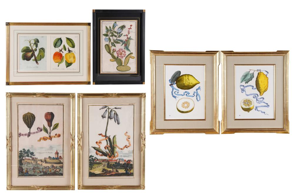 Appraisal: GROUP OF SIX BOTANICAL PRINTSvariously framed Provenance The Terry and