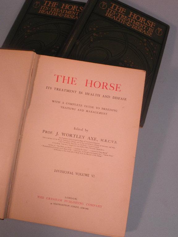 Appraisal: Twelve volumes of The Horse It's Treatment Health Disease by