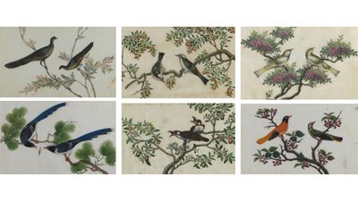 Appraisal: A set of six Chinese rice paper paintings depicting different