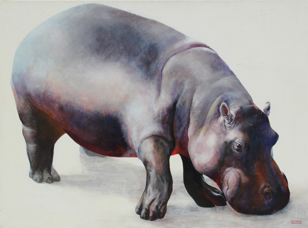 Appraisal: SOLOMON Elizabeth American th C Portrait of the Hippopotamus Oil