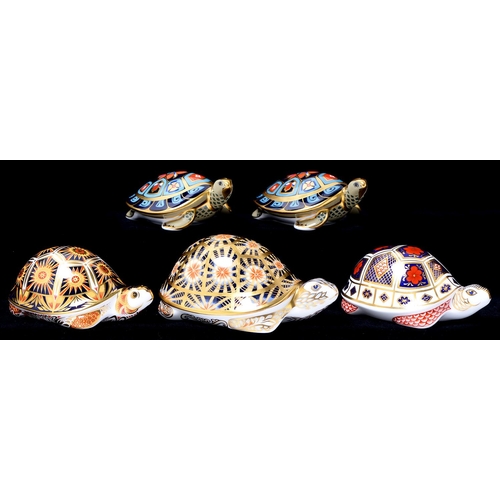 Appraisal: Five Royal Crown Derby Tortoise and Terrapin paperweights Indian Star