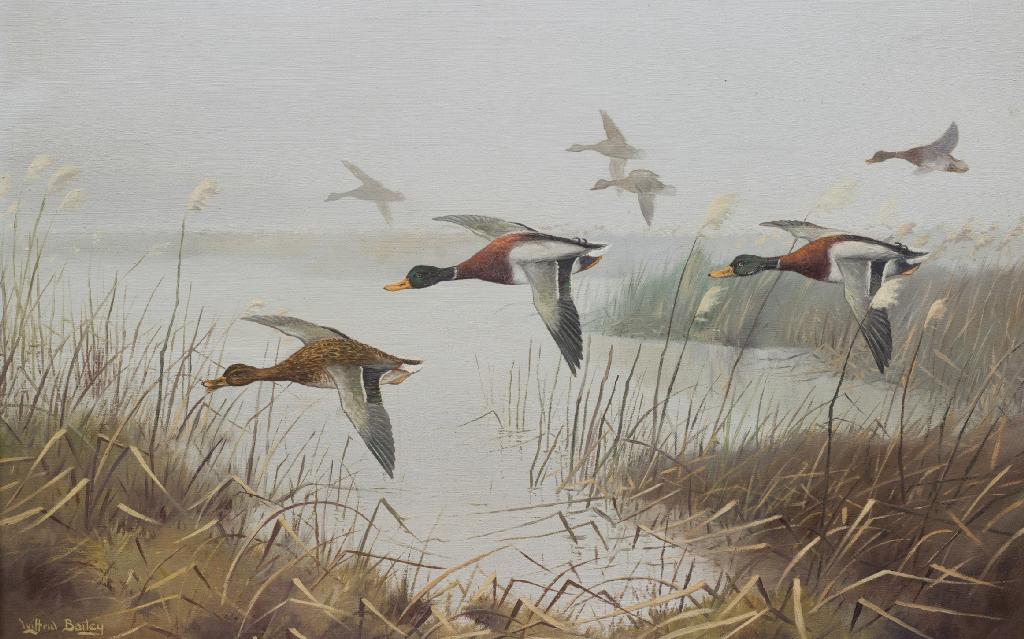 Appraisal: WILFRID BAILEY th th CENTURY GEESE IN FLIGHT OVER MARSHES