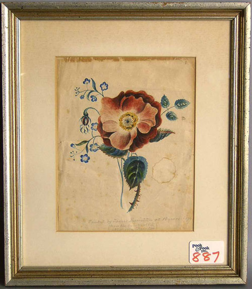 Appraisal: Watercolor floral study inscribed Painted by James Hamilton at years