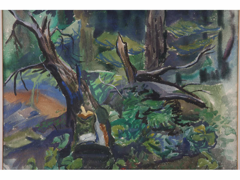 Appraisal: Edith Hogen Peck OH - Forest Floor watercolor on paper