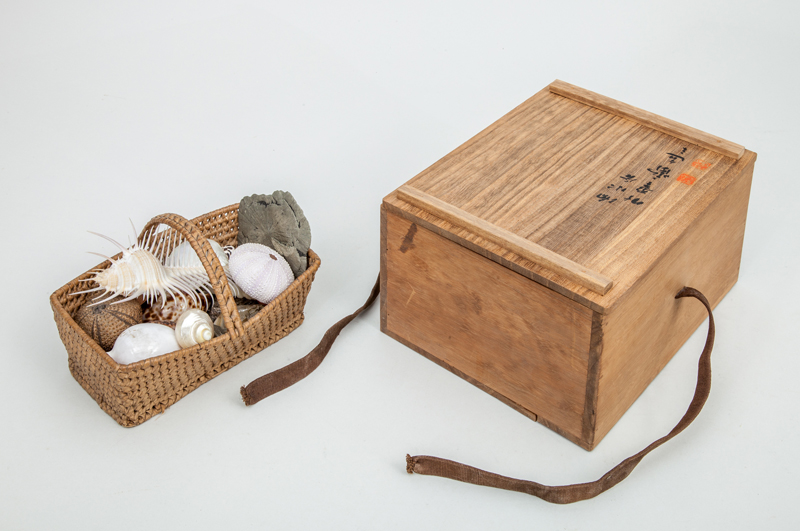 Appraisal: SMALL BASKET FILLED WITH SHELL SPECIMENS Contained in a Chinese