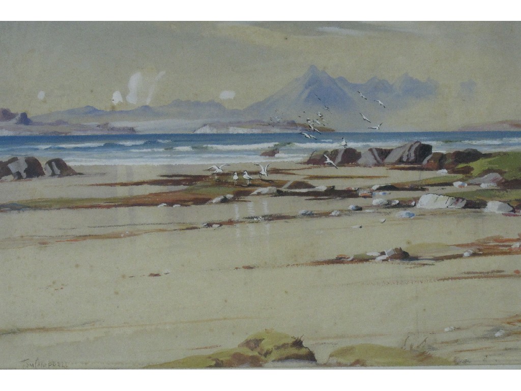 Appraisal: TOM CAMPBELL - Watercolour 'Arran and the Little Cumbrae from