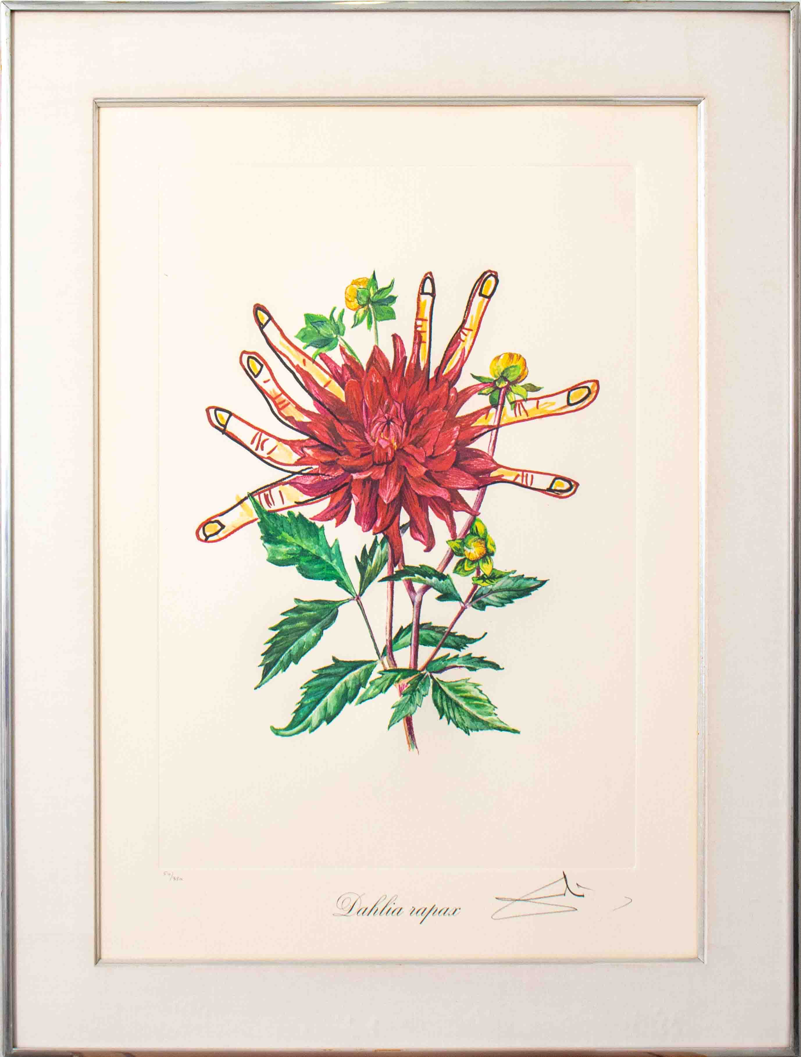 Appraisal: SALVADOR DALI DAHLIA RAPAX LITHOGRAPH Salvador Dali Spanish - Dahlia's