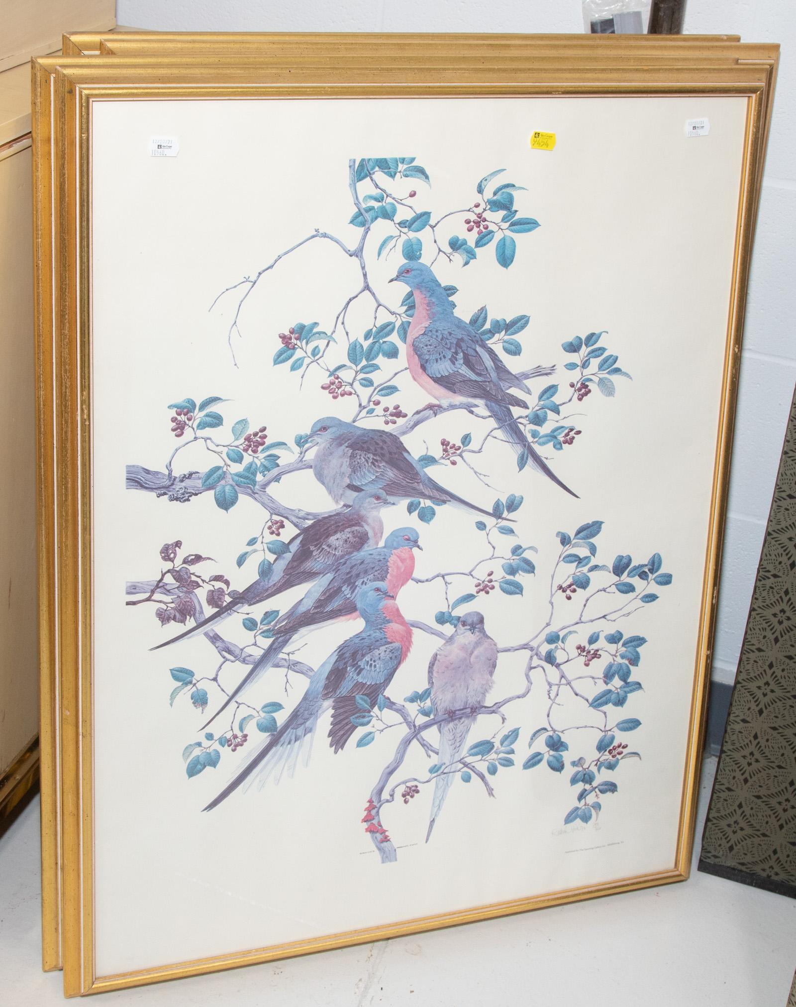 Appraisal: FOUR LARGE BIRD PRINTS All framed